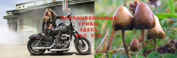 ALPHA PVP Арсеньев