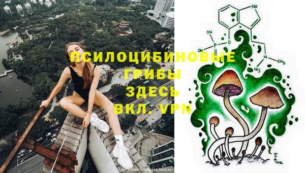 2c-b Аркадак