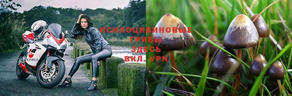 мет Армянск