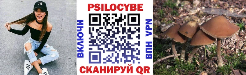 darknet состав OMG маркетплейс Псилоцибиновые грибы MAGIC MUSHROOMS Белогорск где найти